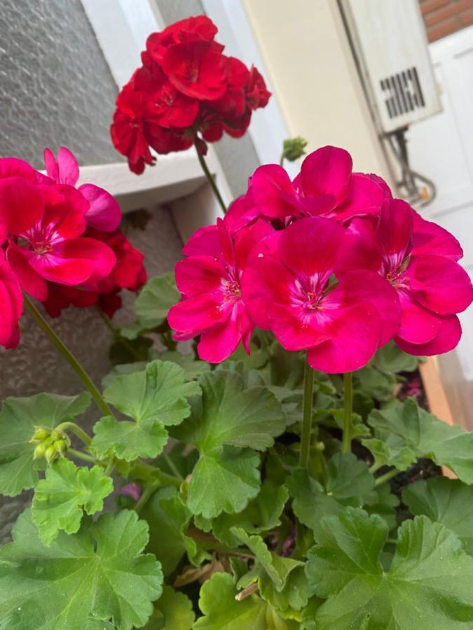 Bed and Breakfast La Negrita Host Sucre Esterno foto